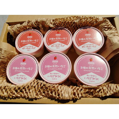 【ふるさと納税】入間市産3種の完熟いちごの「プレミアムいちごアイス」(いちごソルベ3個・いちごみるくジェラート3個)【配送不可地域:離島】【1442562】