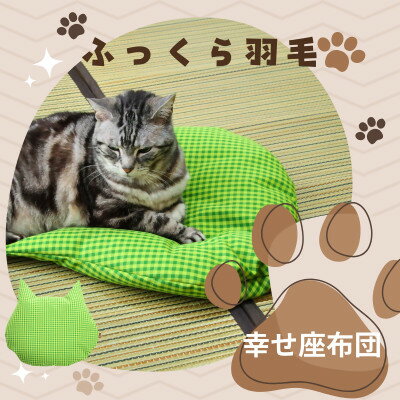 【ふるさと納税】猫の幸せ座布団【グリーンチェック】【1590051】