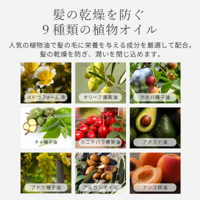 �ڤդ뤵��Ǽ�ǡۡ�12�ܥ��åȡۥ⥤�����㡼�ȥ꡼�ȥ���(1ǯʬ)[LULUNA]��롼�ʡ�1663221��