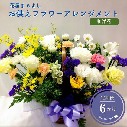 お供えフラワーアレンジメント 和洋花 定期便6ヶ月 花屋まるよし 花 アレンジメント 菊 生花 仏花 お供え お悔やみ お盆 御供 法事 一周忌 三回忌 命日 四十九日 法要 お彼岸