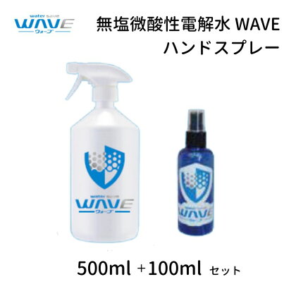 無塩微酸性電解水 WAVE ハンドスプレー 500ml + 100ml セット 除菌 消臭 スプレー