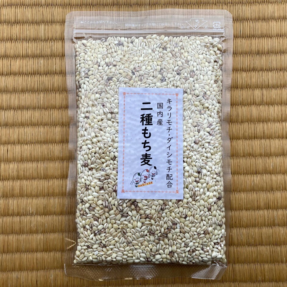 【ふるさと納税】オリジナルブレンド二種もち麦5個セット