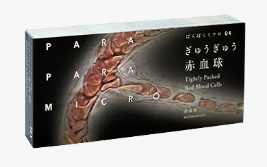 【ふるさと納税】「ぱらぱらミクロ」3冊セット【04ぎゅうぎゅう赤血球】【05 がん細胞vs免疫細胞】【06ボルボックスの一生】