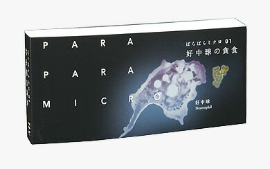 【ふるさと納税】「ぱらぱらミクロ」6冊セット【01好中球の貪食】【02 細菌の増殖】【03パンに生えたカビ】【04ぎゅうぎゅう赤血球】【05 がん細胞vs免疫細胞】【06ボルボックスの一生】