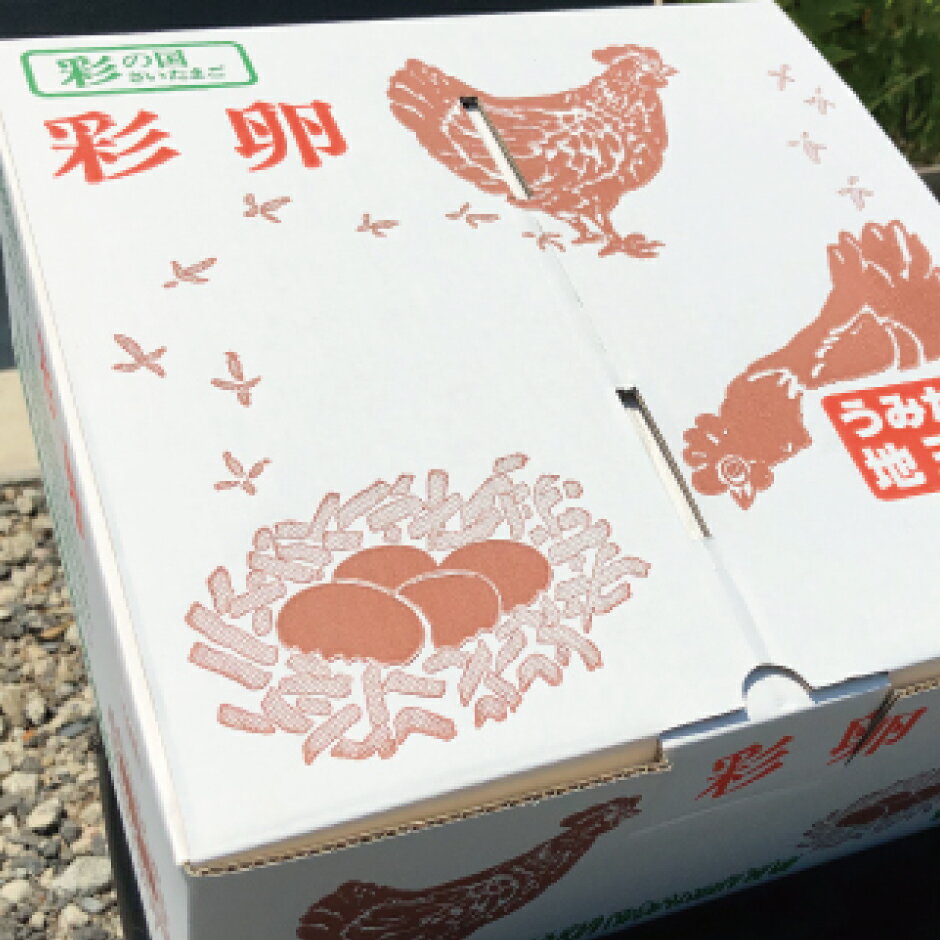 【ふるさと納税】井原養鶏の産みたて新鮮卵 50個
