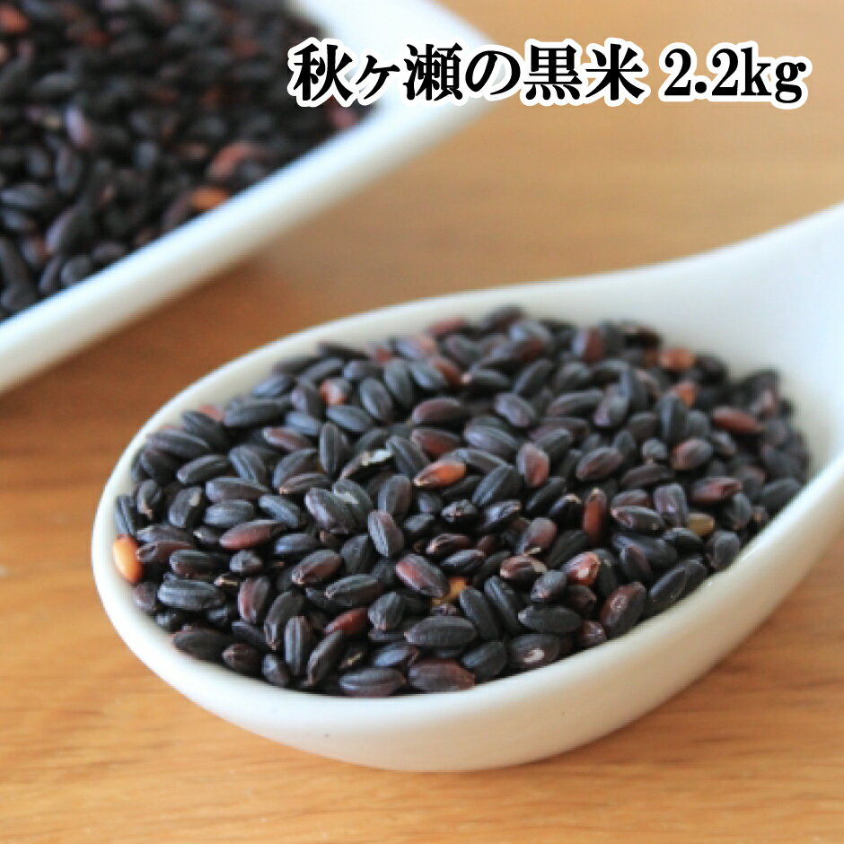 【ふるさと納税】【数量限定】特別栽培米10%増量中！秋ヶ瀬の黒米2.2kg（1.1kg×2袋）