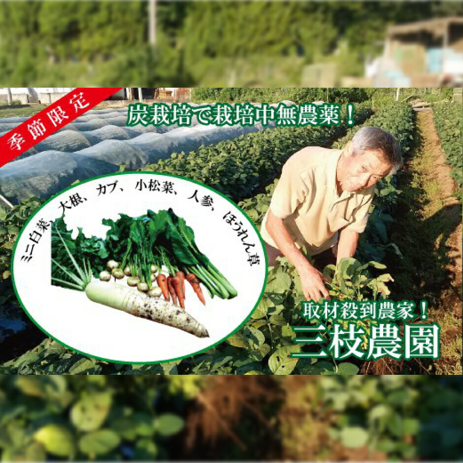 【ふるさと納税】【数量限定】有機堆肥と炭栽培の三枝農園「秋・冬野菜の詰め合わせ」のサムネイル