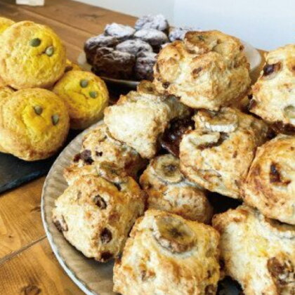 スコーン 5個 セット 季節のスコーン nino scone ココナッツオイル 洋菓子 お菓子 ご家庭用 詰め合わせ