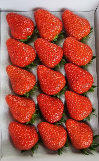 埼玉県和光市の画像2