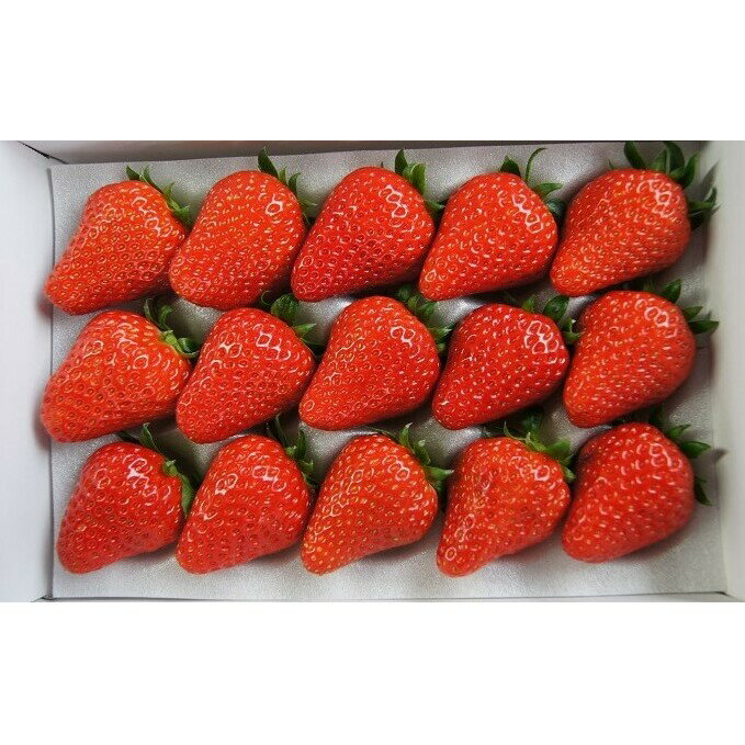 とりかいさん家のいちご園 紅ほっぺ 果物類・いちご・苺・イチゴ お届け:2026年1月下旬〜3月下旬まで