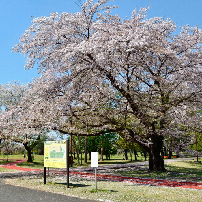 埼玉県和光市の画像2