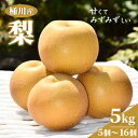 【ふるさと納税】桶川産の梨 5kg【配送不可地域:離島】【1423786】