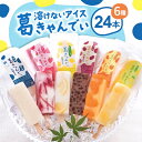 【ふるさと納税】溶けないアイス 葛きゃんでぃ24本入り【配送不可地域:離島・沖縄県】【1494868】