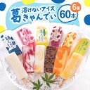 【ふるさと納税】溶けないアイス 葛きゃんでぃ 60本入り【配送不可地域:離島】【1504836】