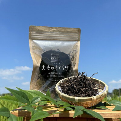 【ふるさと納税】国産 乾燥きくらげ 細切りカット 30g×2個 大地のきくらげ 桶川市産【配送不可地域:離島・沖縄県】【1577270】