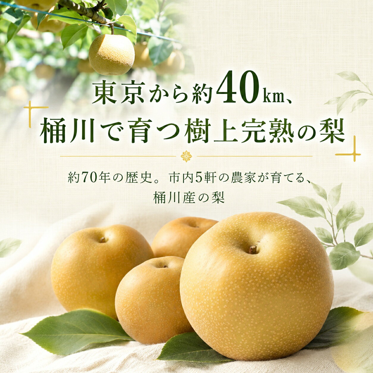 【ふるさと納税】梨 3kg / 5kg 選べる量 ( 6～16個入り) | 彩玉 幸水 豊水 新高 あきづき 8月発送 先行予約 生産者おまかせ なし ナシ 和梨 5キロ 3キロ フルーツ 果物 くだもの 人気 おすすめ 旬 みずみずしい ジューシー 13000円 15000円 埼玉県 桶川市