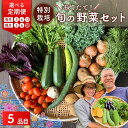 【ふるさと納税】【選べる定期】【5品目】特別栽培 たかしま農園 採れたて 旬の野菜セット | 野菜 やさい 生野菜 おまかせ 詰め合わせ 無農薬 新鮮 季節 旬...