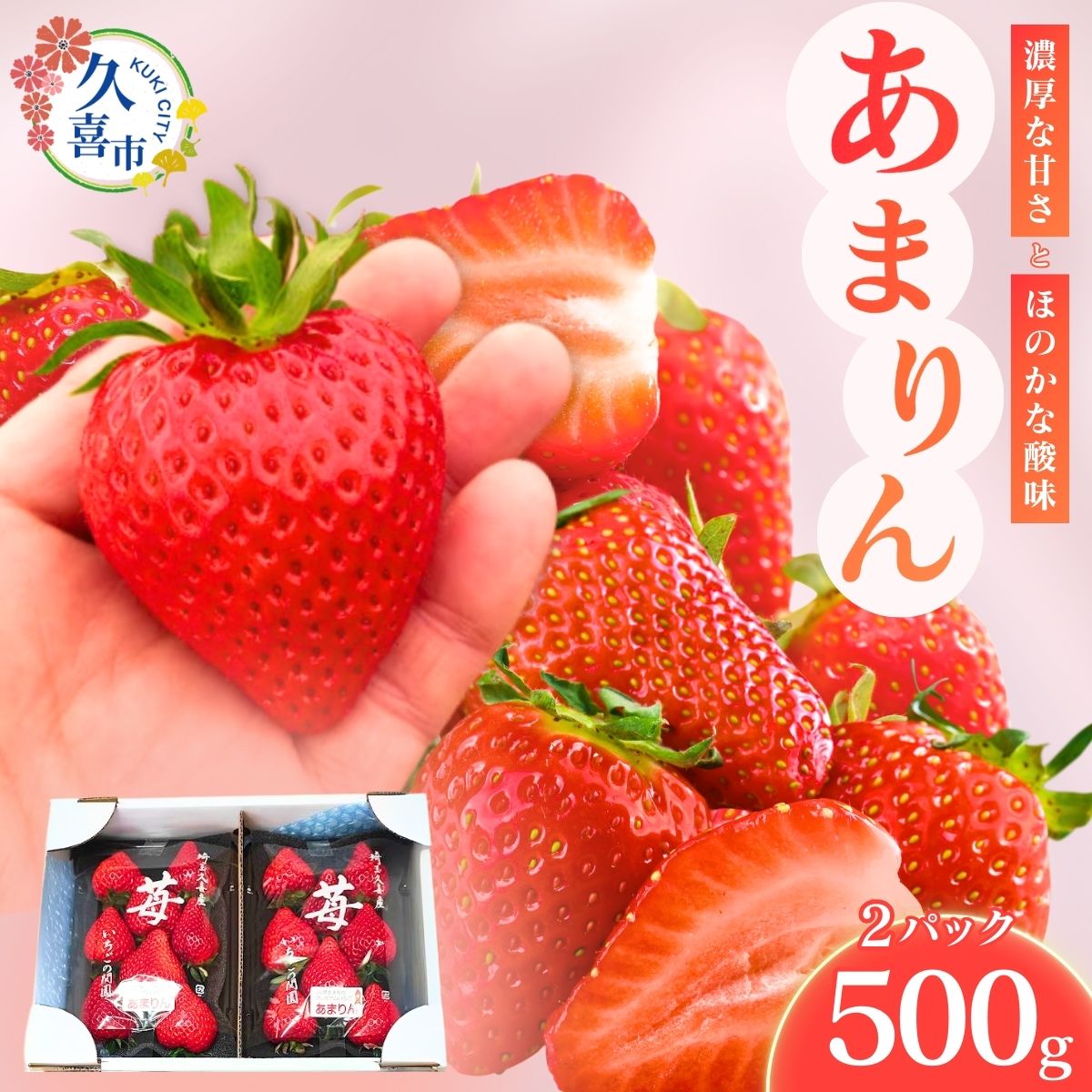 【ふるさと納税】【期間限定 3月まで】あまりん 埼玉生まれのプレミアムいちご 250g×2パック | いちご イチゴ 苺 ストロベリー 季節限定 高評価 果物 くだもの フルーツ 美味しい おいしい 甘み 酸味 デザート スイーツ ギフト 贈り物 埼玉県 久喜市のサムネイル