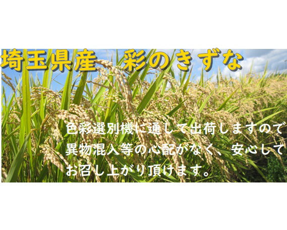 【ふるさと納税】 埼玉のブランド米彩のきずな 約5kg 80サイズ【コメ 米 特産米 ブランド米 彩のきずな 埼玉県久喜市 幸手市 杉戸町 特産 精米 白米 ごはん】