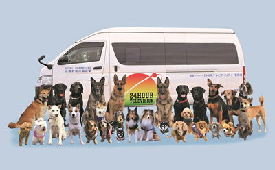 楽天ふるさと納税 【ふるさと納税】 日本捜索救助犬協会の活動を応援!1万円 【被災地支援 感謝状 埼玉県 救助犬育成 犬猫保護 社会貢献活動】