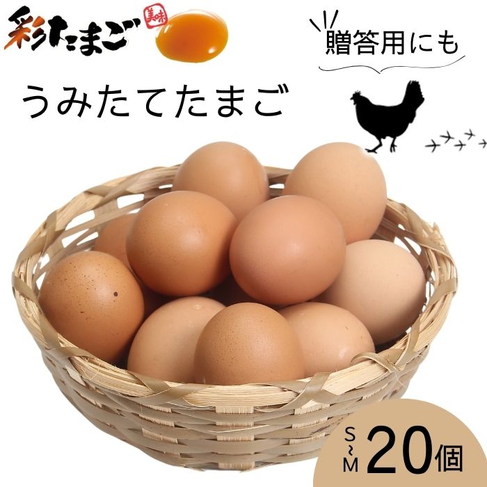 彩たまご うみたてたまご20個入り 化粧箱 60サイズ[養鶏場直送 新鮮 卵 たまご タマゴ 玉子 生卵 鶏卵 久喜 埼玉 彩 国産 産みたて 箱入り]