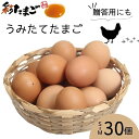 8位! 口コミ数「1件」評価「5」 彩たまご うみたてたまご30個入り 化粧箱 80サイズ【養鶏場直送 新鮮 卵 たまご タマゴ 玉子 生卵 鶏卵 久喜 埼玉 彩 国産 産み･･･ 