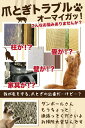 埼玉県久喜市の画像3