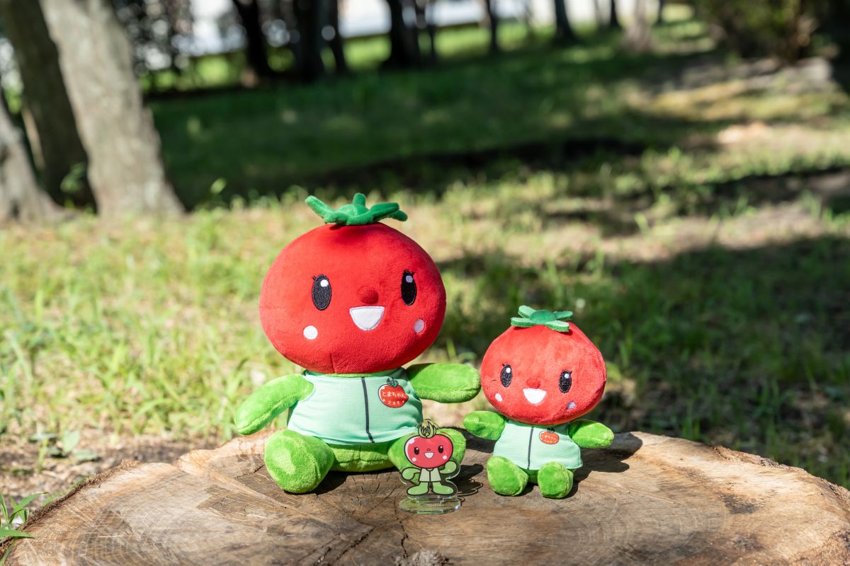 とまちゃん ぬいぐるみ & アクリルスタンドセット 6000円 10000円 | ぬいぐるみ アクリルスタンド マスコット ご当地 アクスタ ゆるキャラ 1万円 ご当地キャラクター 推し 推し活 グッズ トマト グッズセット 北本市観光協会 埼玉県 北本市