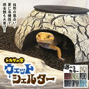 【ふるさと納税】ウェットシェルター 爬虫類 選べるカラー7色 | トカゲ レオパードゲッコー レオパ フトアゴ イモリ ペット用品 カエル ヘビ ペット 爬虫類用 シェルター 陶器 カビ抑制 トカゲの家 飼育 飼育用品 手づくり 観察 自然 飼育品 セキグチタカヒト 埼玉県 北本市