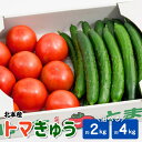 【ふるさと納税】トマト きゅうりセット 約2kg または 約4kg | とまと キュウリ tomato 胡瓜 国産 野菜 野菜セット 旬の野菜 野菜詰め合わせ ...