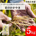 【ふるさと納税】【令和5年産】埼玉県産　彩のかがやき　【5kg】