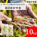 人気ランキング第8位「埼玉県北本市」口コミ数「0件」評価「0」 【令和5年産】埼玉県産 彩のかがやき 10kg（5kg×2袋）【ブランド米 埼玉ブランド お米専用化粧箱 白米 国産 お米 送料無料】