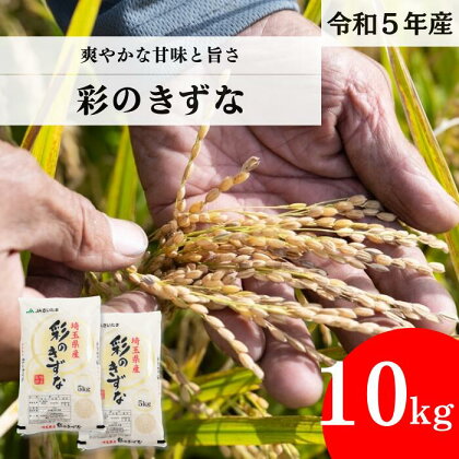 【令和5年産】埼玉県産 彩のきずな 10kg（5kg×2袋）【ブランド米 埼玉ブランド お米専用化粧箱 白米 国産 お米 送料無料】