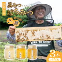 【ふるさと納税】巣みつ 入り はちみつ 食べ比べセット 150g×3瓶 | はちみつ 蜂蜜 ハチミツ HONEY ハニー コムハニー ハニーコム 国産 巣蜜 蜜蝋 百花 菜の花 なのはな アカシア トースト パンケーキ 健康 朝食 プレゼント 贈答 贈り物 根津ぶんぶーん農園 埼玉県 北本市