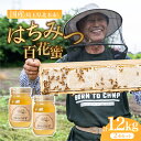 【ふるさと納税】北本産 百花はちみつ 600g×2瓶 根津ぶんぶーん農園 | はちみつ 蜂蜜 ハチミツ HONEY ハニー 百花 トースト 国産 ホットケーキ パンケーキ 健康 朝食 ヨーグルト プレゼント 贈答 贈り物 埼玉県 北本市