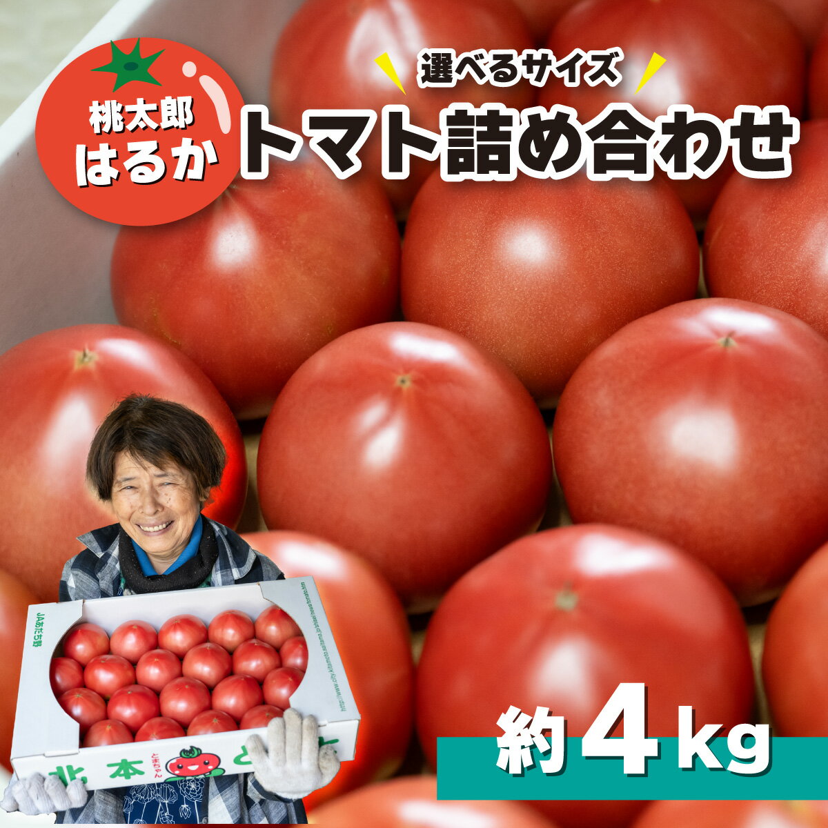 【ふるさと納税】トマト詰め合わせ ( Mサイズ 約22~24個/ Lサイズ約16個~18個 約計4kg ) 桃太郎はるか | とまと トマト 桃太郎 大玉 大玉トマト マイルド 酸味が少ない 健康 国産 新鮮 野菜 北本産 関東 旬のトマト トマトファーム 埼玉県 北本市