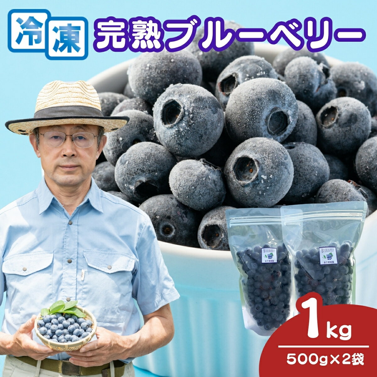 【ふるさと納税】国産冷凍ブルーベリー 500g×2袋 計1kg | 国産 中粒 冷凍ブルーベリー 新鮮 フレッシュ とれたて冷凍 即冷凍 くだもの ..