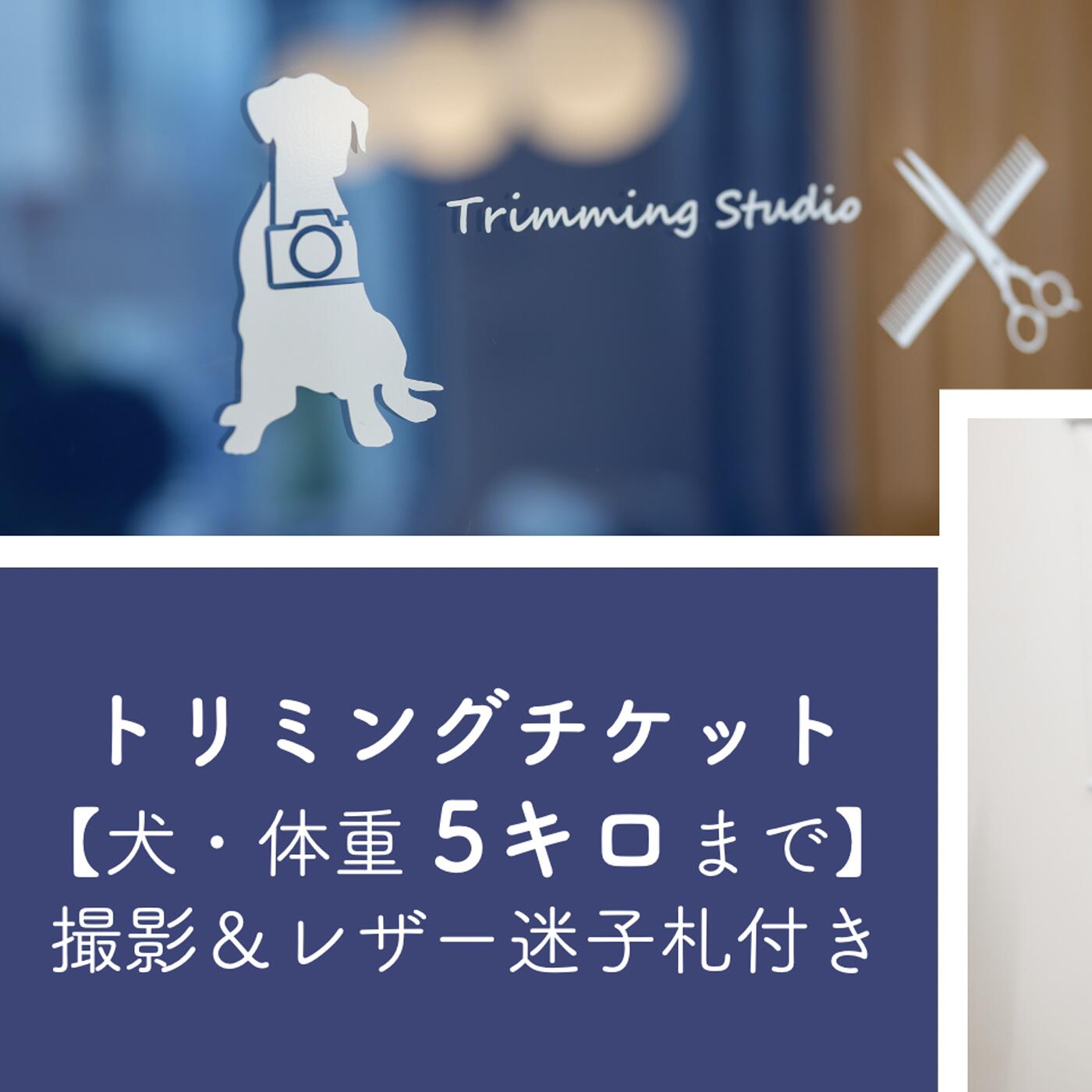 4位! 口コミ数「0件」評価「0」 トリミングチケット【犬5kgまで】撮影＆レザー迷子札付き【犬 ドッグ わんちゃん ペットトリミング チケット 体験】