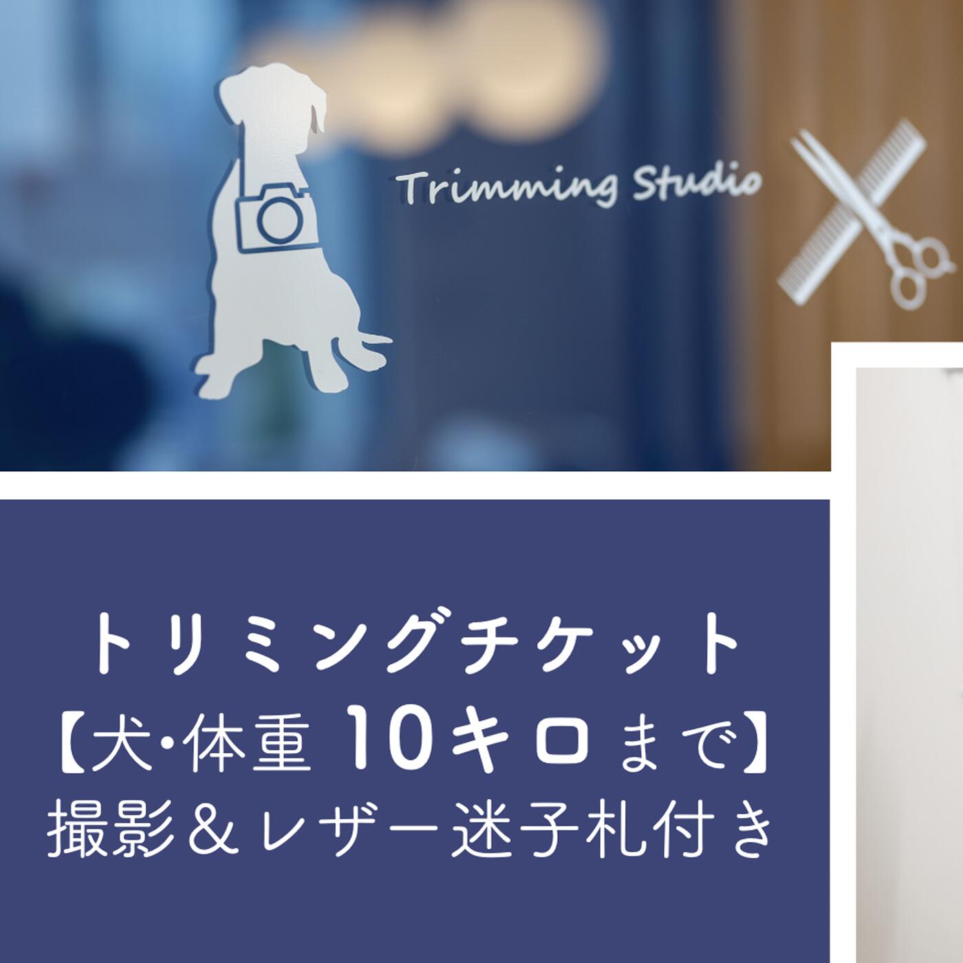 9位! 口コミ数「0件」評価「0」 トリミングチケット【犬10kgまで】撮影＆レザー迷子札付き【犬 ドッグ わんちゃん ペットトリミング チケット 体験】