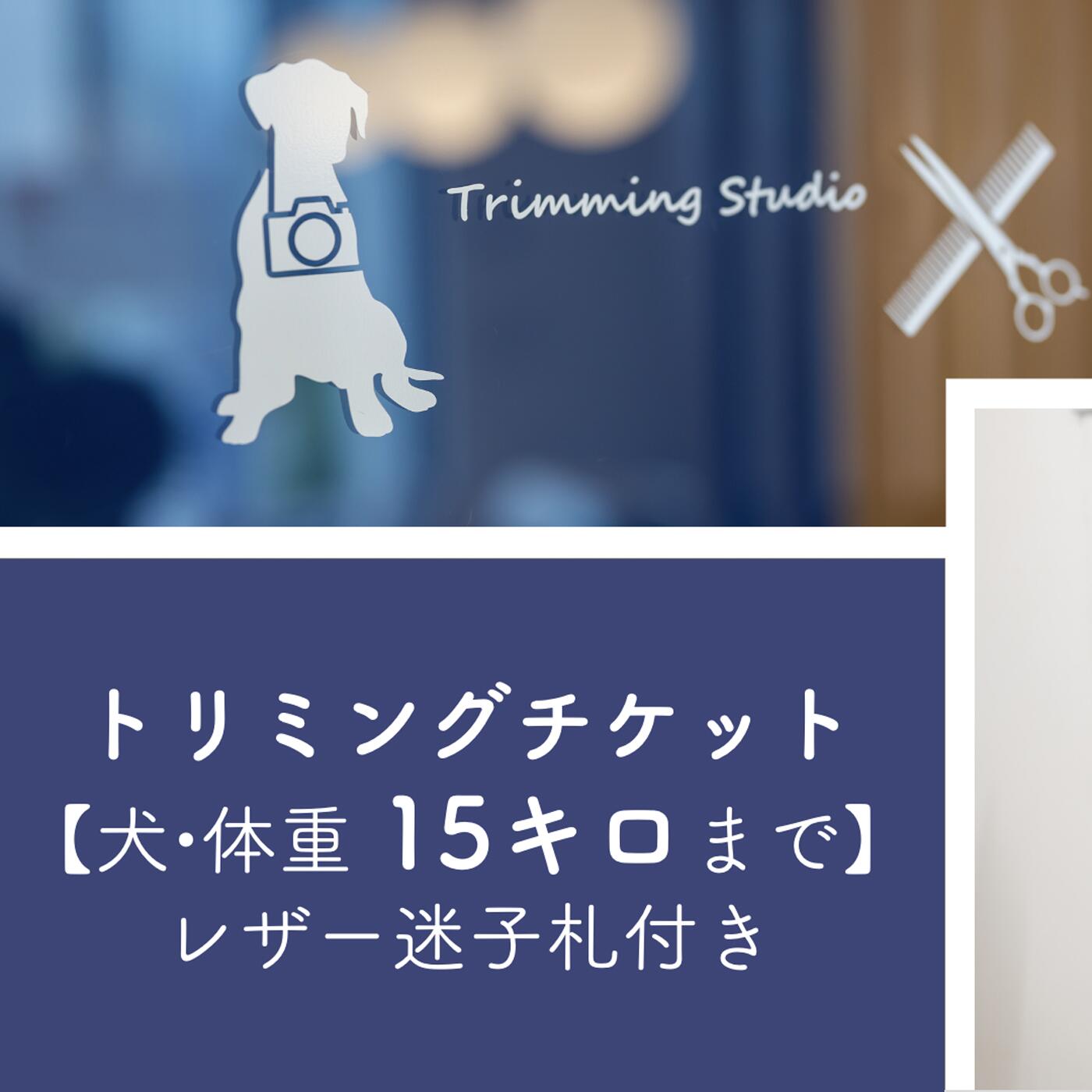 楽天埼玉県北本市【ふるさと納税】 トリミングチケット【犬15kgまで】レザー迷子札付き【犬 ドッグ わんちゃん ペットトリミング チケット 体験】