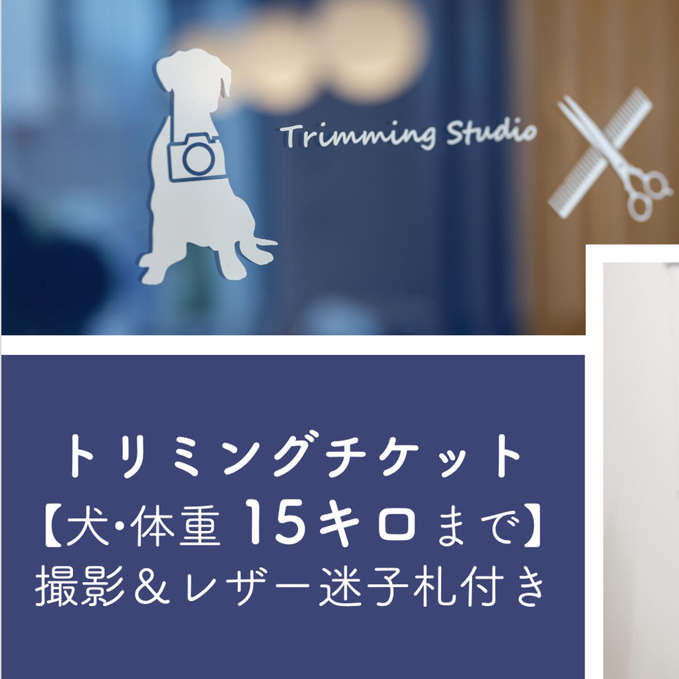 楽天埼玉県北本市【ふるさと納税】 トリミングチケット【犬15kgまで】撮影＆レザー迷子札付き【犬 ドッグ わんちゃん ペットトリミング チケット 体験】