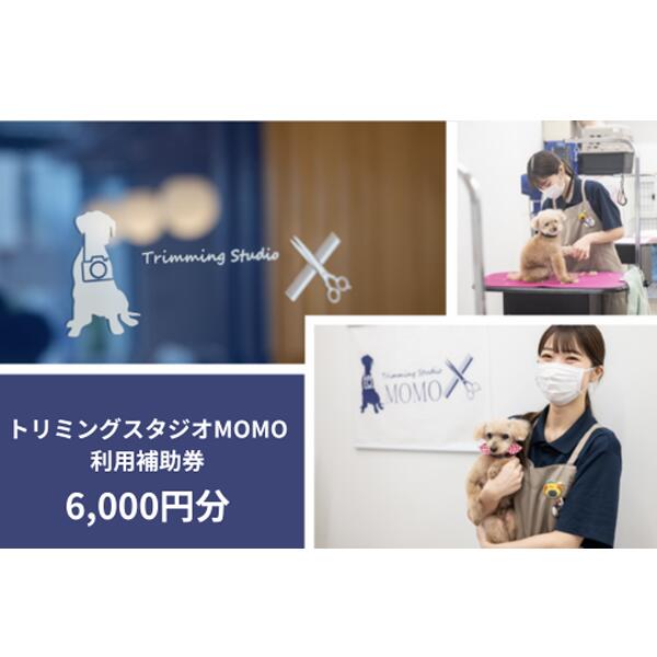 トリミング&写真撮影利用補助券 6000円分[ 犬 猫 ドッグ キャット ねこちゃん わんちゃん ワンちゃん ペットトリミング チケット ]