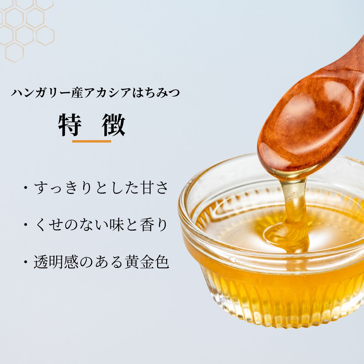 【ふるさと納税】はちみつ ハンガリー産 アカシア 1kg | 蜂蜜 ハチミツ HONEY ハニー ハンガリー 1000g 大容量 健康 朝食 保存食 プレゼント 贈答 ギフト 贈り物 1kg以上 トースト ホットケーキ パンケーキ ミツバチ ヨーグルト 養蜂 養蜂場 埼玉養蜂 埼玉県 北本市