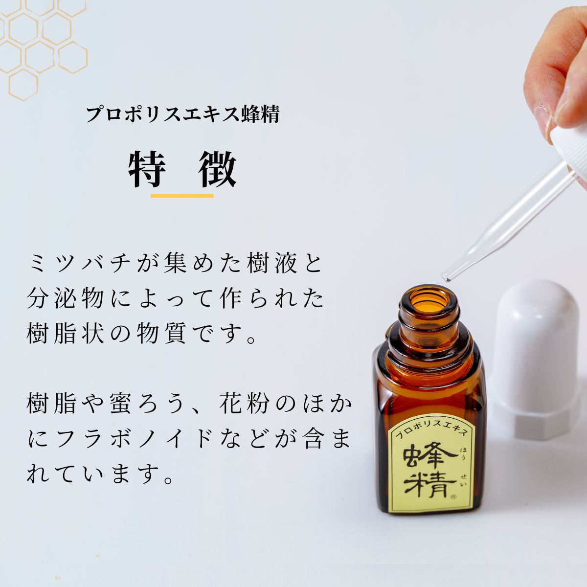【ふるさと納税】プロポリス エキス 蜂精 30ml | 蜂蜜 ハチミツ HONEY ハニー ハンガリー プロポリス 樹脂 蜜ろう 花粉 フラボノイド 液 液体 はちみつ エキス 健康 のど プレゼント 贈答 ギフト 贈り物 養蜂 養蜂場 埼玉養蜂 埼玉県 北本市