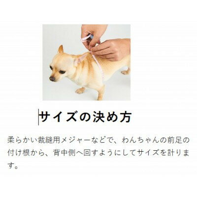 埼玉県八潮市の画像2