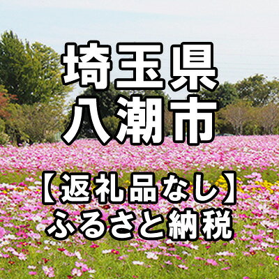 名称 埼玉県八潮市への寄付 提供元 埼玉県八潮市