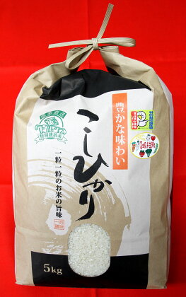 0010‐001　特別栽培米こしひかり（令和5年産） 5キロ