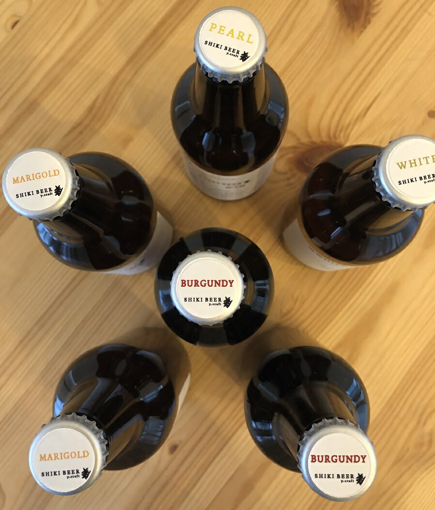 【ふるさと納税】0020‐062　　クラフトビールお楽しみ6本セット【330ml×6本（2種以上）】／SHIKI BEER