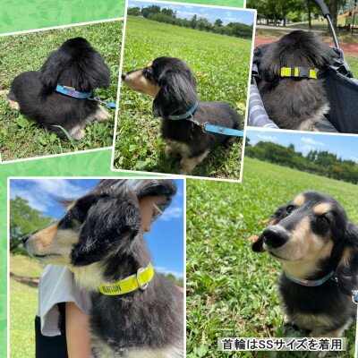 埼玉県三郷市の画像3