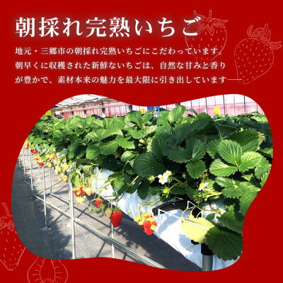 埼玉県三郷市の画像3